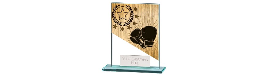 MUSTANG BOXING GLASS TROPHY - 5 SIZES - 11CM - 18CM MUSTANG BOXING GLASS TROPHY - 5 SIZES - 11CM - 18CM